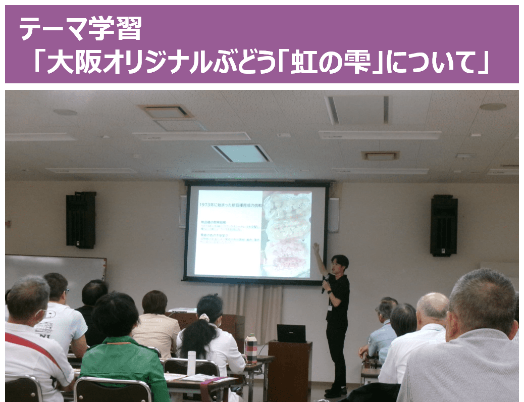 テーマ学習「大阪オリジナルぶどう「虹の雫」について」