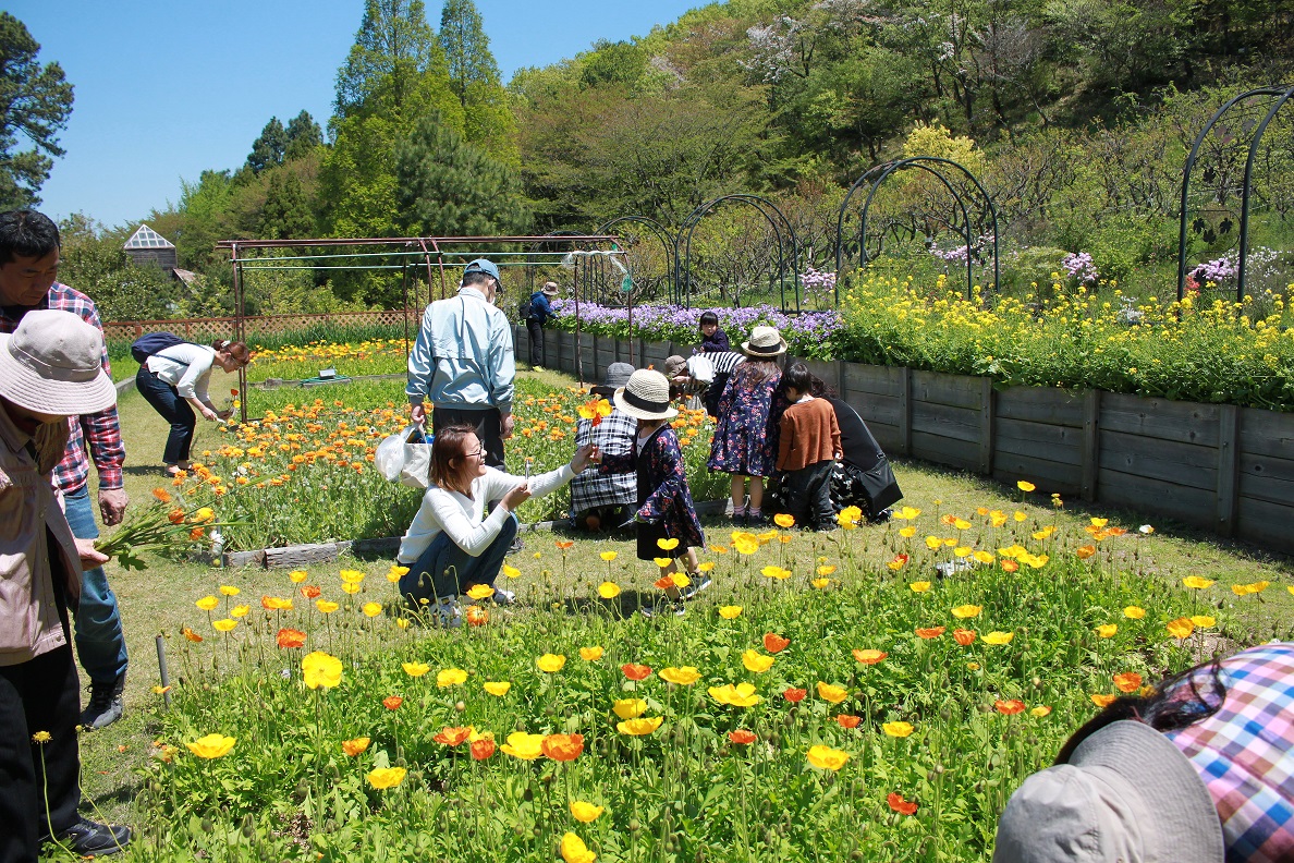 お花摘み園