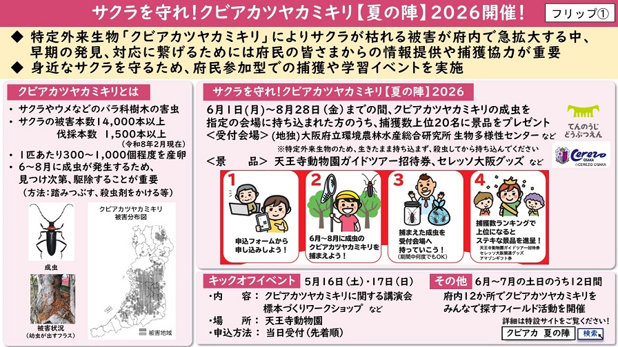 フリップ1