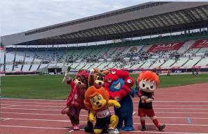 日本陸上競技選手権大会の様子