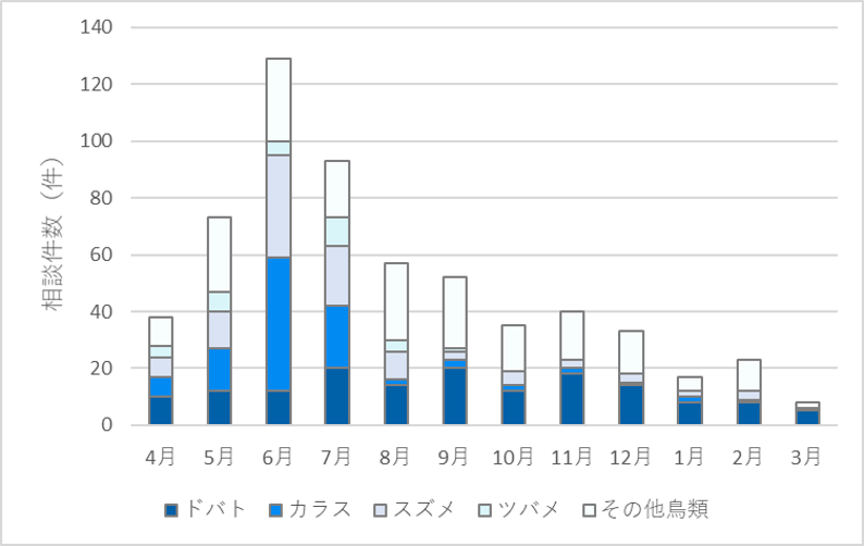 鳥種月別のグラフ