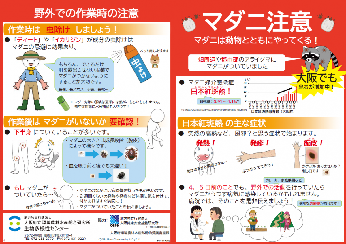 チラシ画像1
