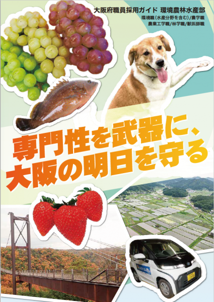 採用パンフレット