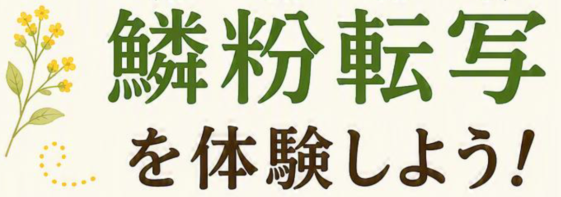 鱗粉転写を体験しよう！
