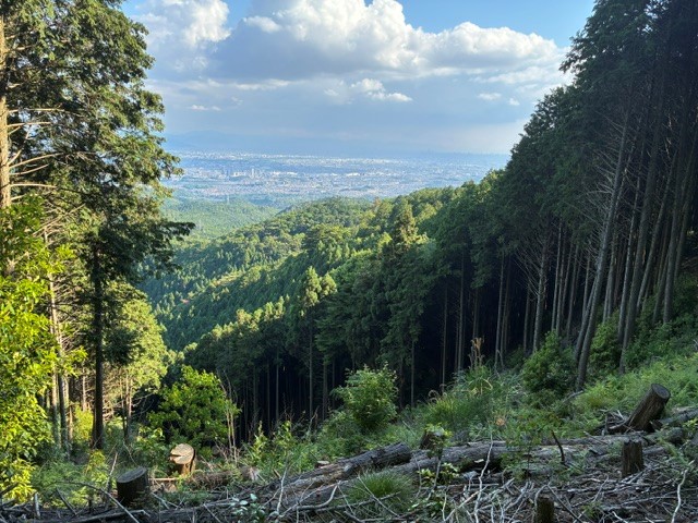 ハイキング風景イメージ