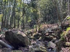 kashi2