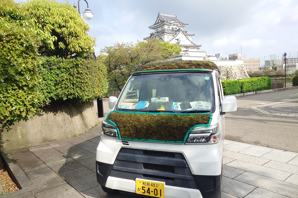 こけちゃっかー