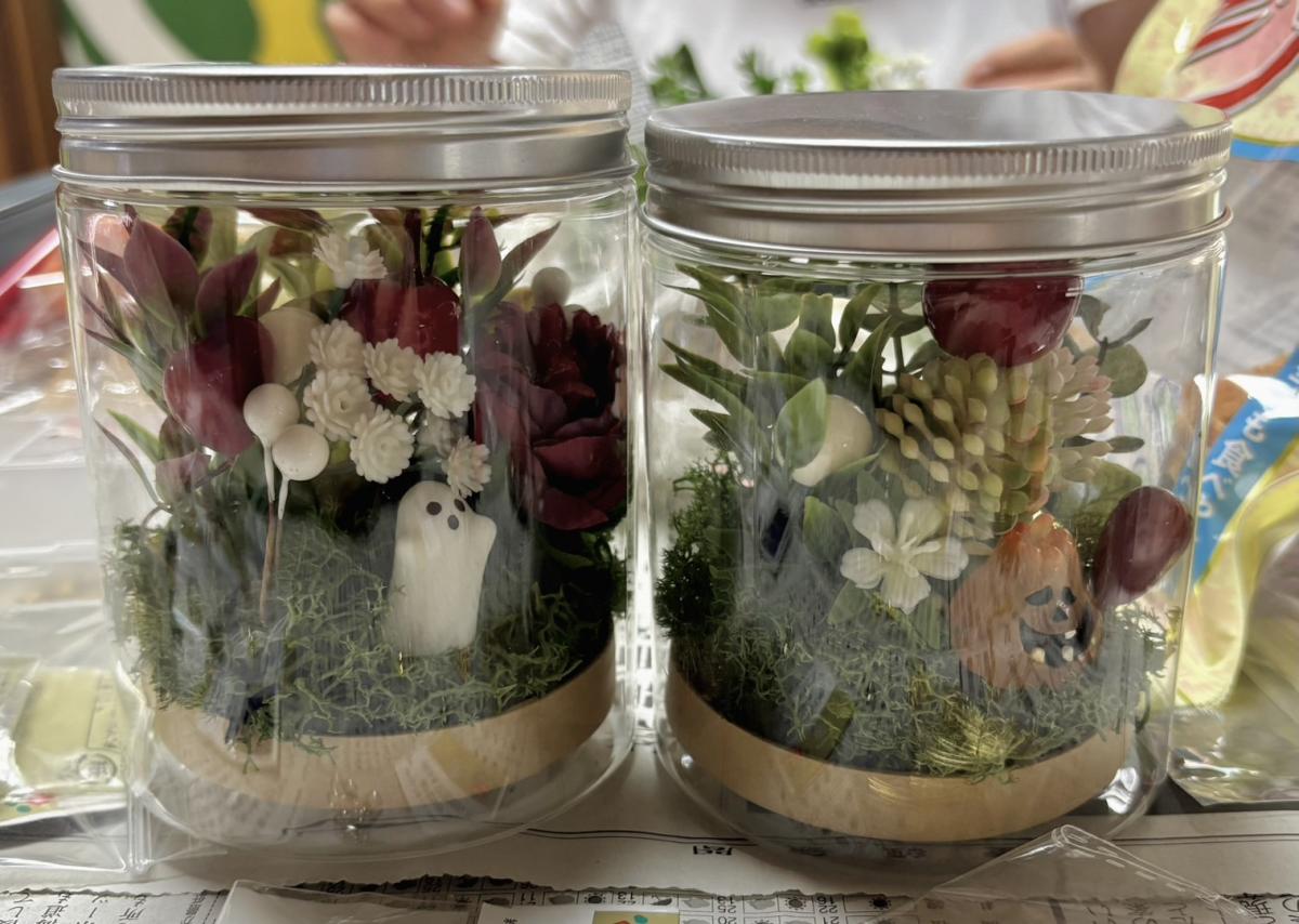 テラリウム作り