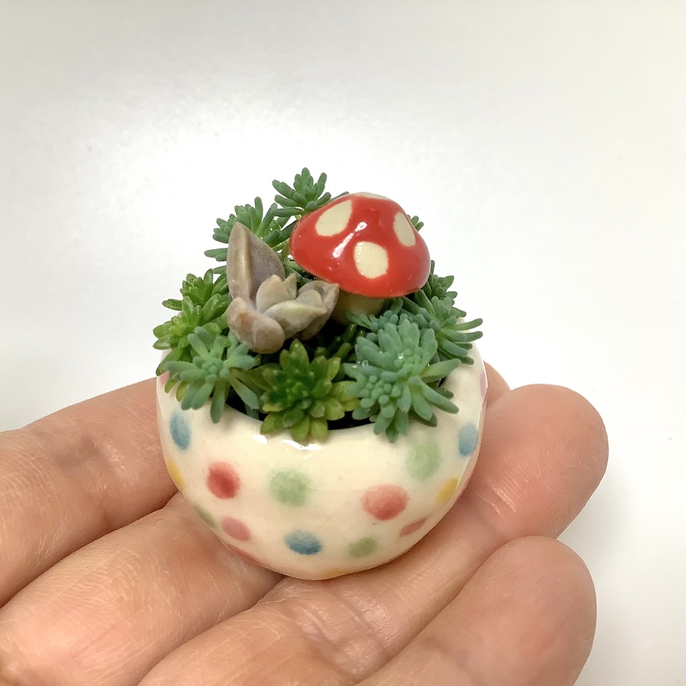 豆鉢