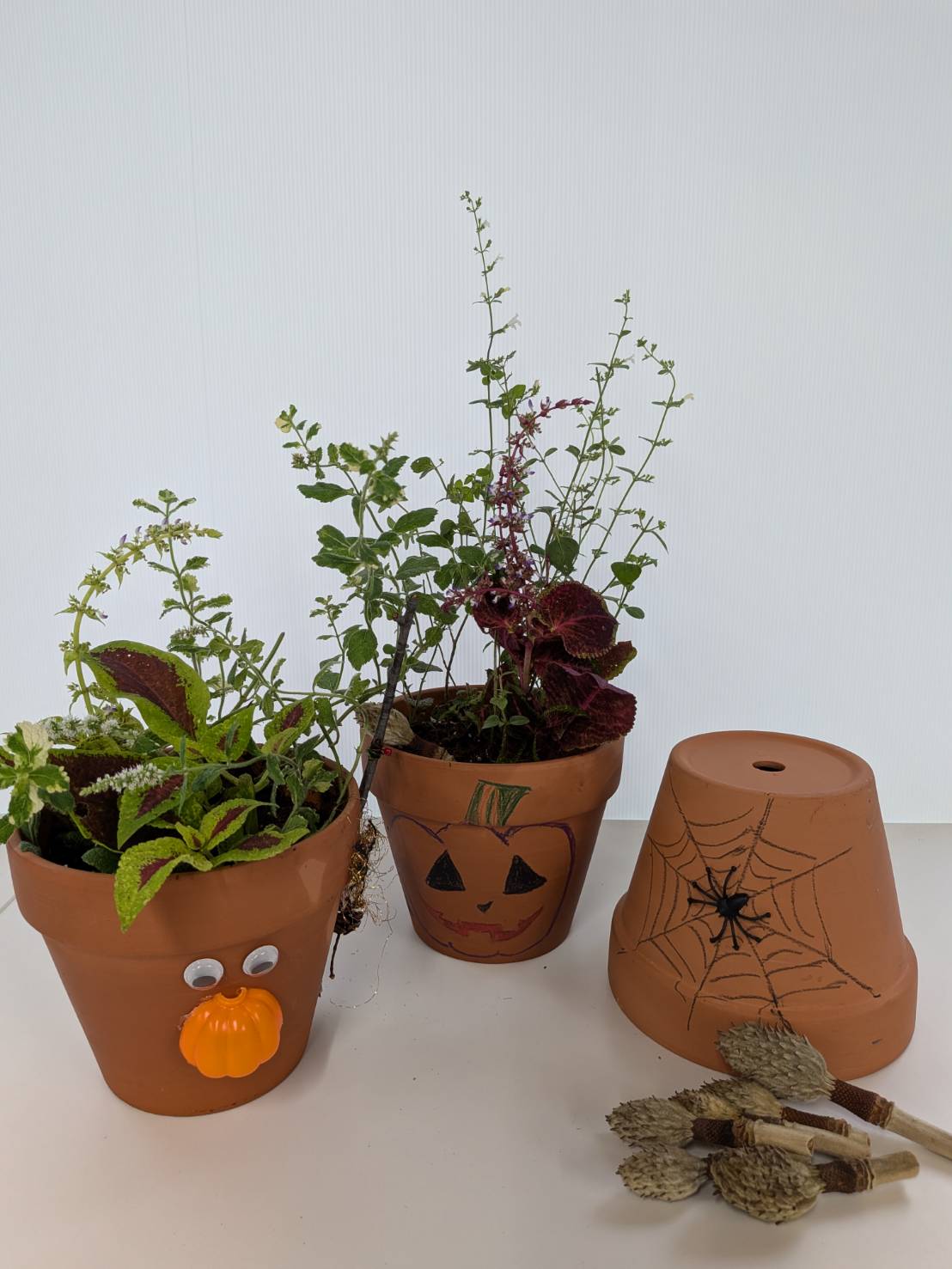 寄せ植え