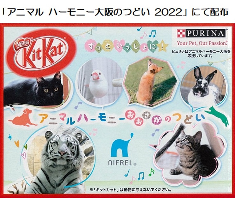 アニマルハーモニー大阪でのイベントにて提供したオリジナルデザインパッケージのキットカットの画像2