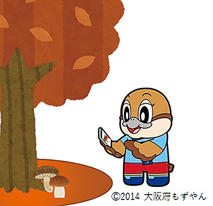 キノコをスマホで調べるもずやんの画像