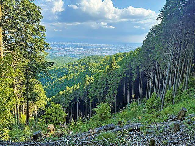 東海自然歩道ハイキングの山の画像