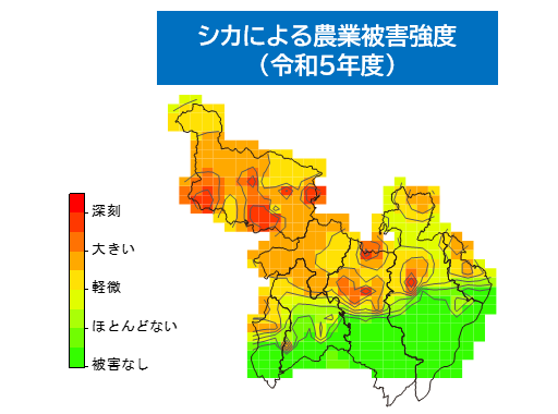 シカによる農業被害強度分布図（令和5年度）