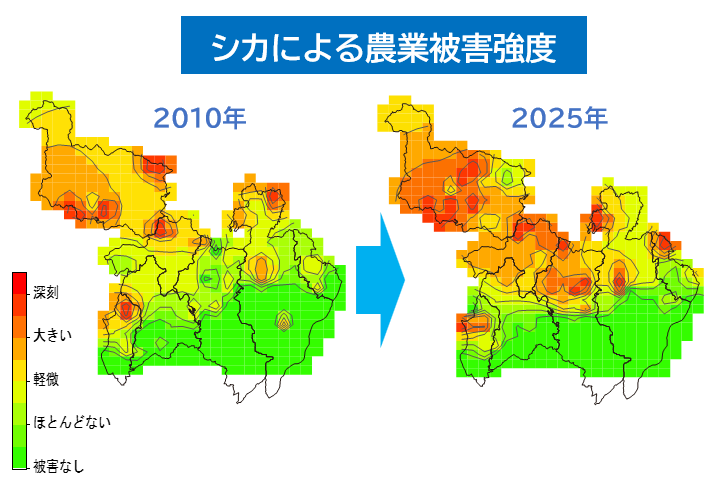 シカ被害強度2025