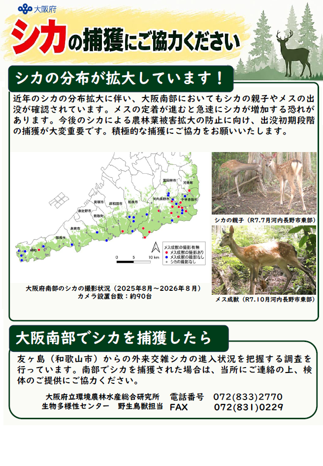 シカチラシ（南部）おもて