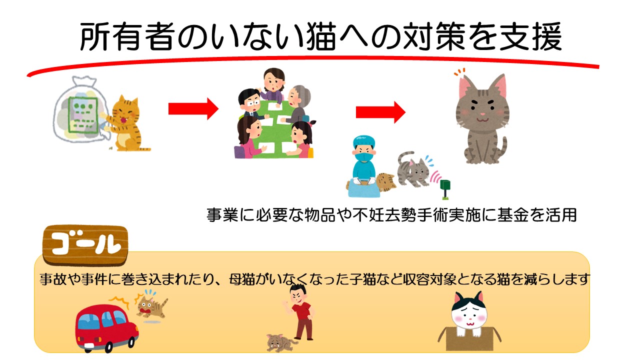 所有者のいない猫への対策を支援