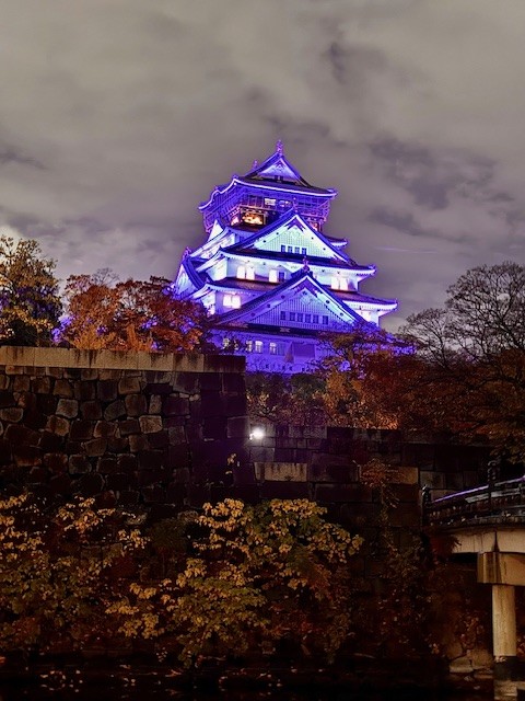 大阪城天守閣パープルライトアップ写真