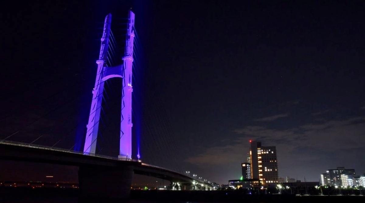 田尻スカイブリッジパープルライトアップ写真