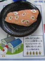 鶏肉jをイメージした展示物