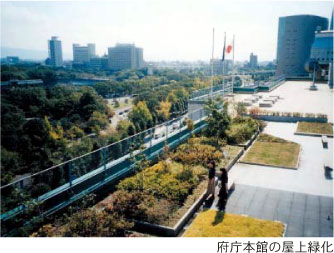 府庁本館の屋上緑化