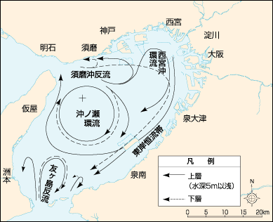 画像〔図3〕大阪湾の恒流（残渣流）