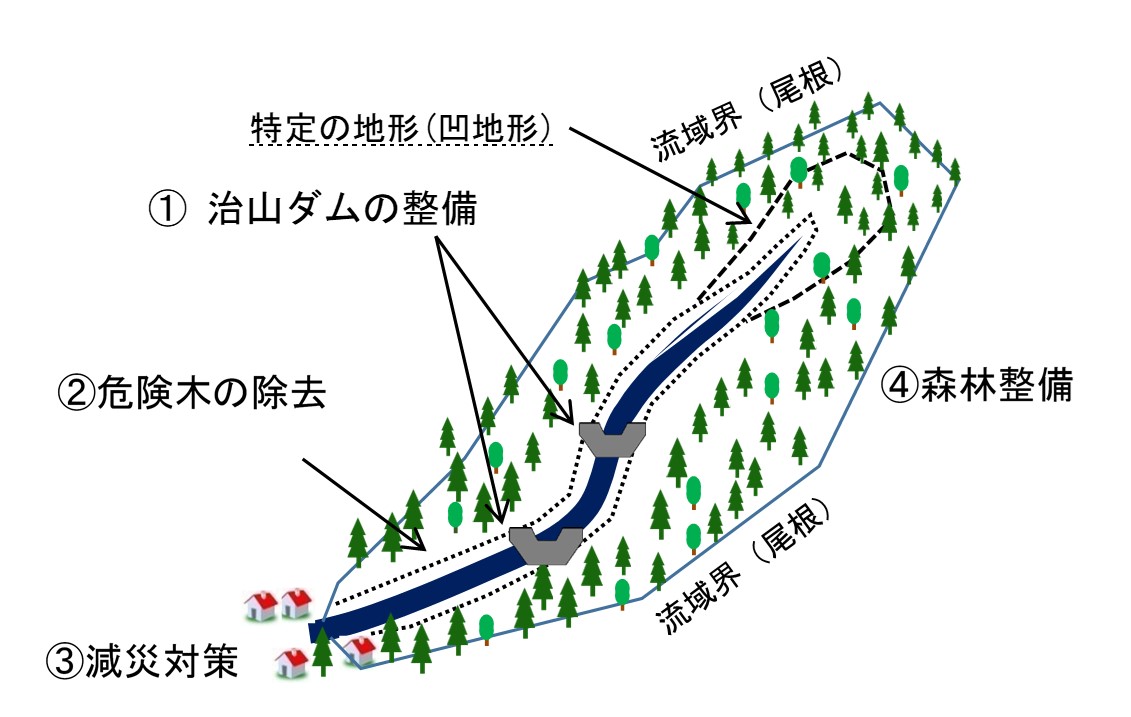 新たな知見