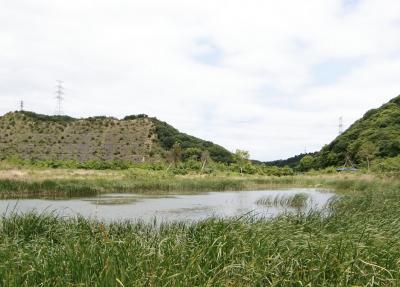 多奈川ビオトープ