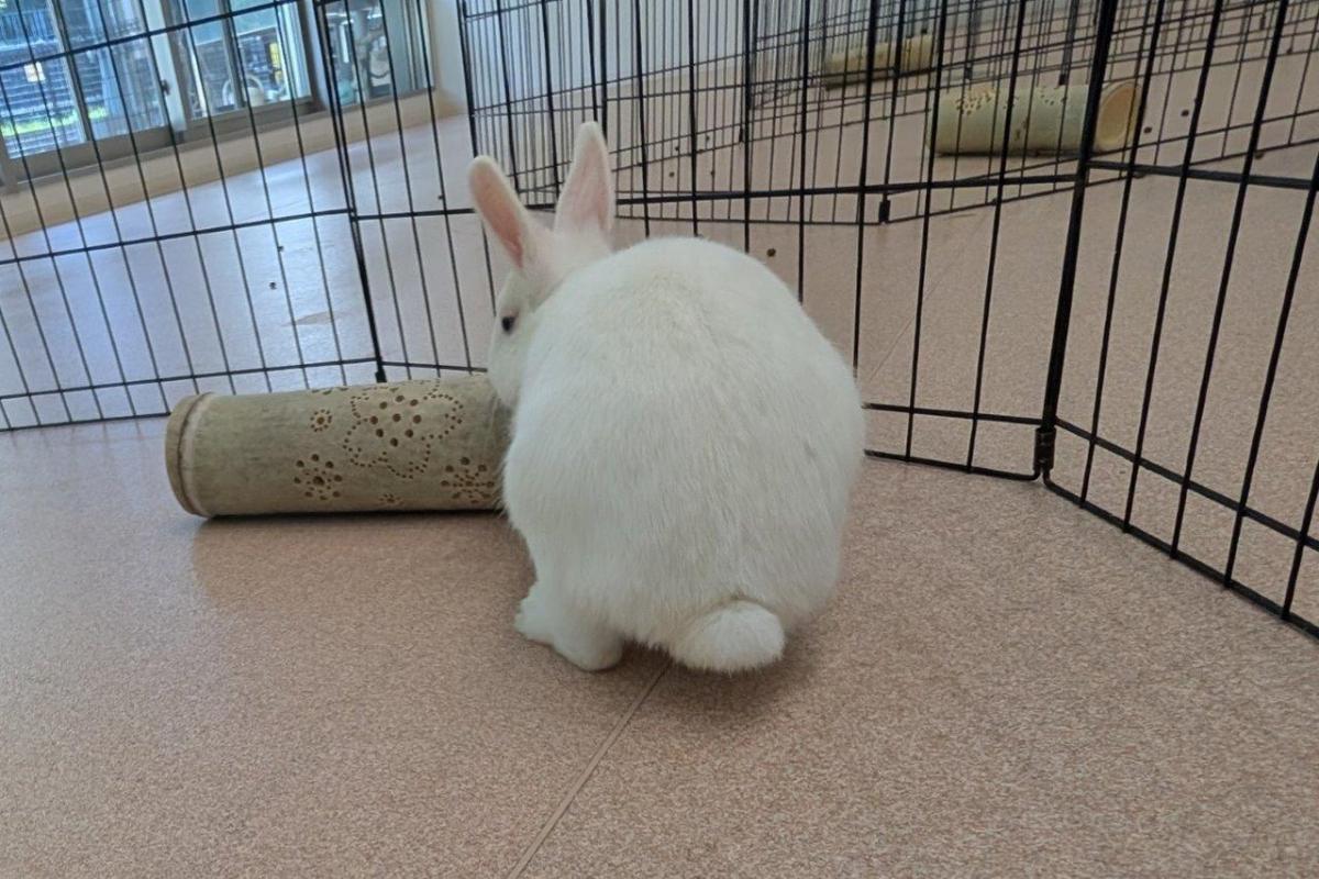 ミルク1