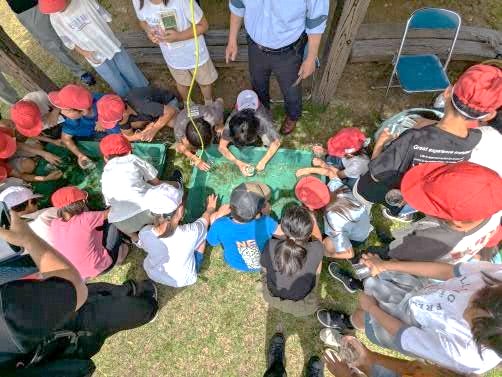 ヤゴのふれあい