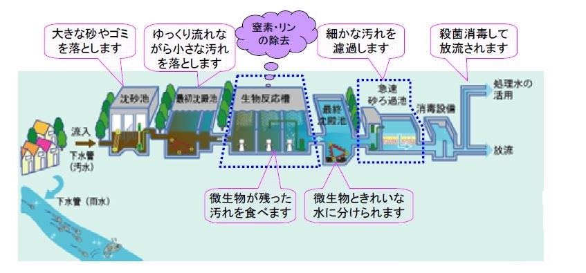 高度処理の一連の流れ