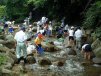 画像です。「私の水辺」活動状況