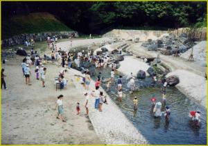 多自然川づくりの事例　天野川の写真