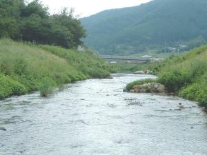 多自然川づくりの事例　田尻川の写真