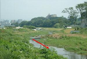多自然川づくりの事例　槇尾川の写真
