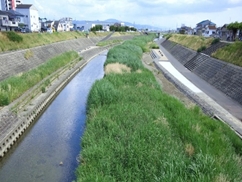 河道掘削工事の写真2