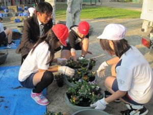 小学校での花植えの様子