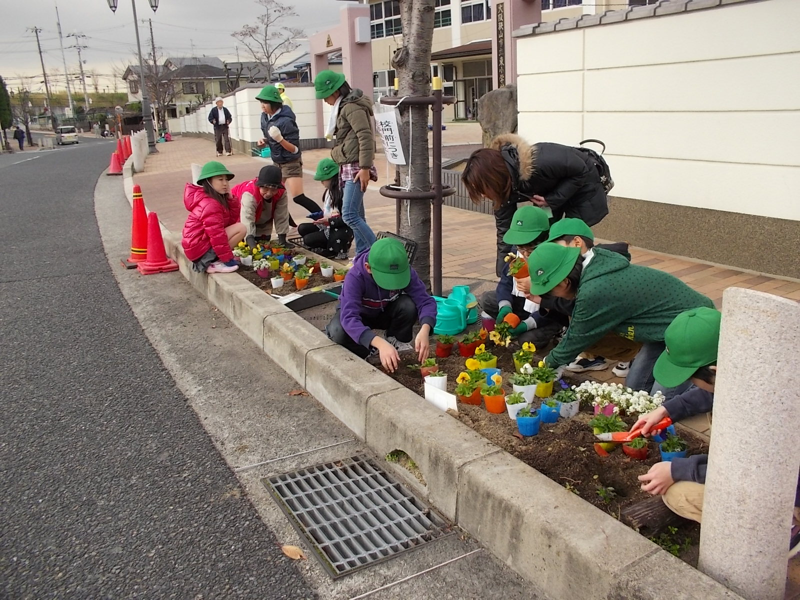 学校周辺での植付け