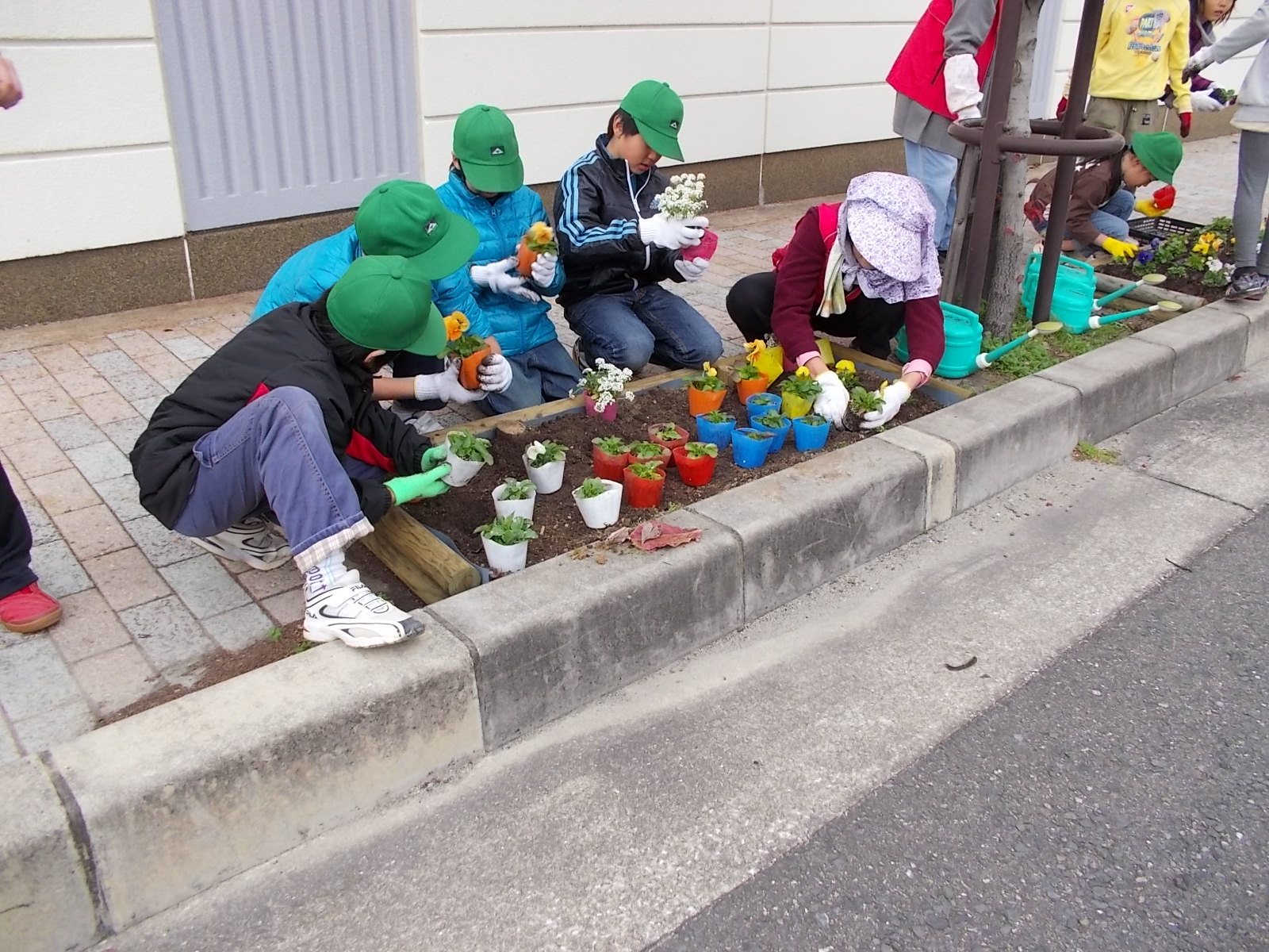 東小学校植栽活動