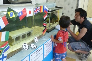 水辺の生き物水族館平成24年1-11