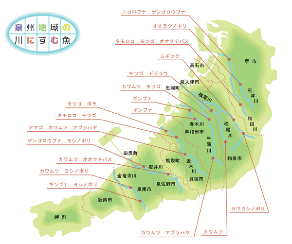 泉州地域の川にすむ魚を示した地図