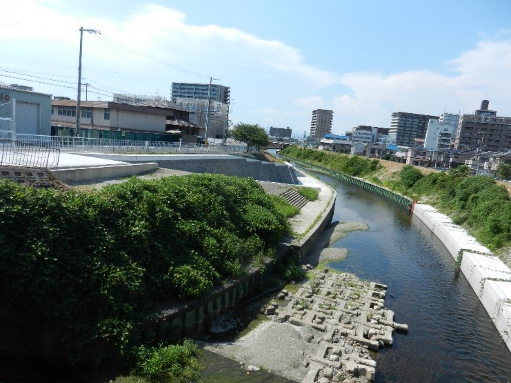 家原橋下流令和4年08月