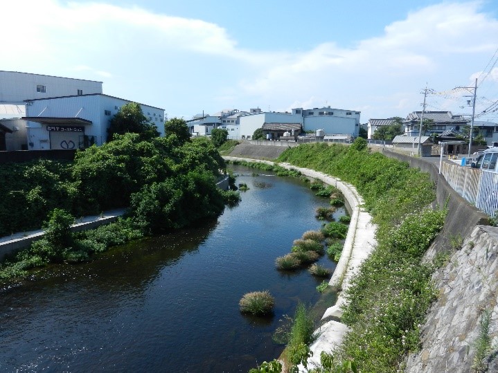 高橋下流令和4年08月