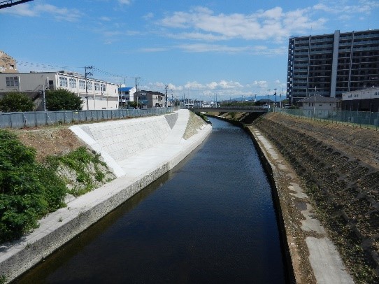 津久野大橋下流令和4年08月