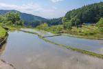 高山の棚田の写真3