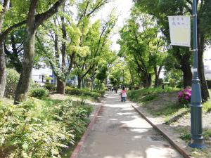 緑道を眺める元茨木川緑地