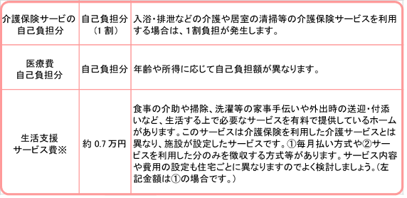 介護保険サービスや医療費の自己負担分、生活支援サービス費についての説明画像