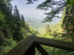 奥河内を眺める岩湧山展望デッキ（湧き水場）