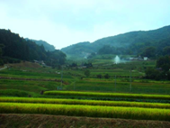 棚田の能勢風景