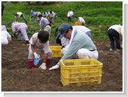 画像です。活動写真1